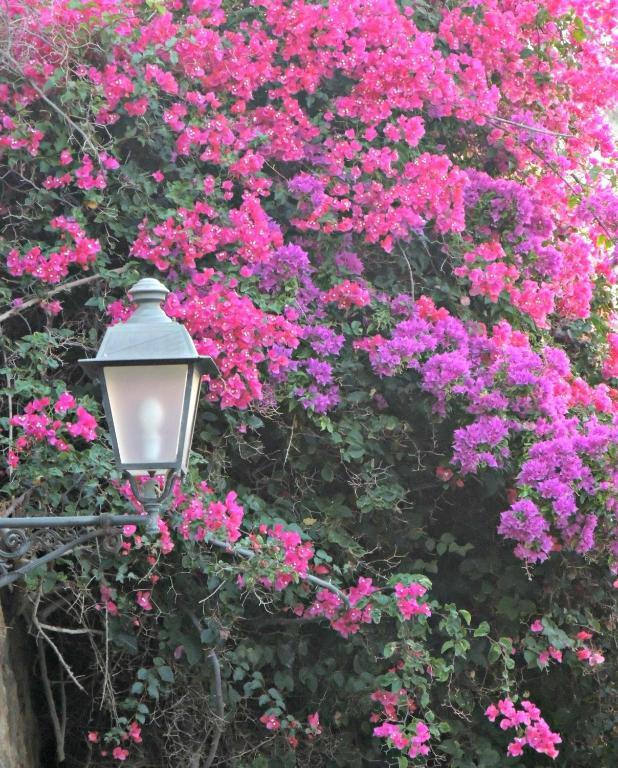 B&B La Veduta Scilla Buitenkant foto